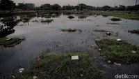 Sejumlah makam yang terendam air di kawasan tempat pemakaman umum (TPU) Semper.