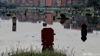 Makam di kawasan itu memang sering terendam banjir sejak tahun lalu.