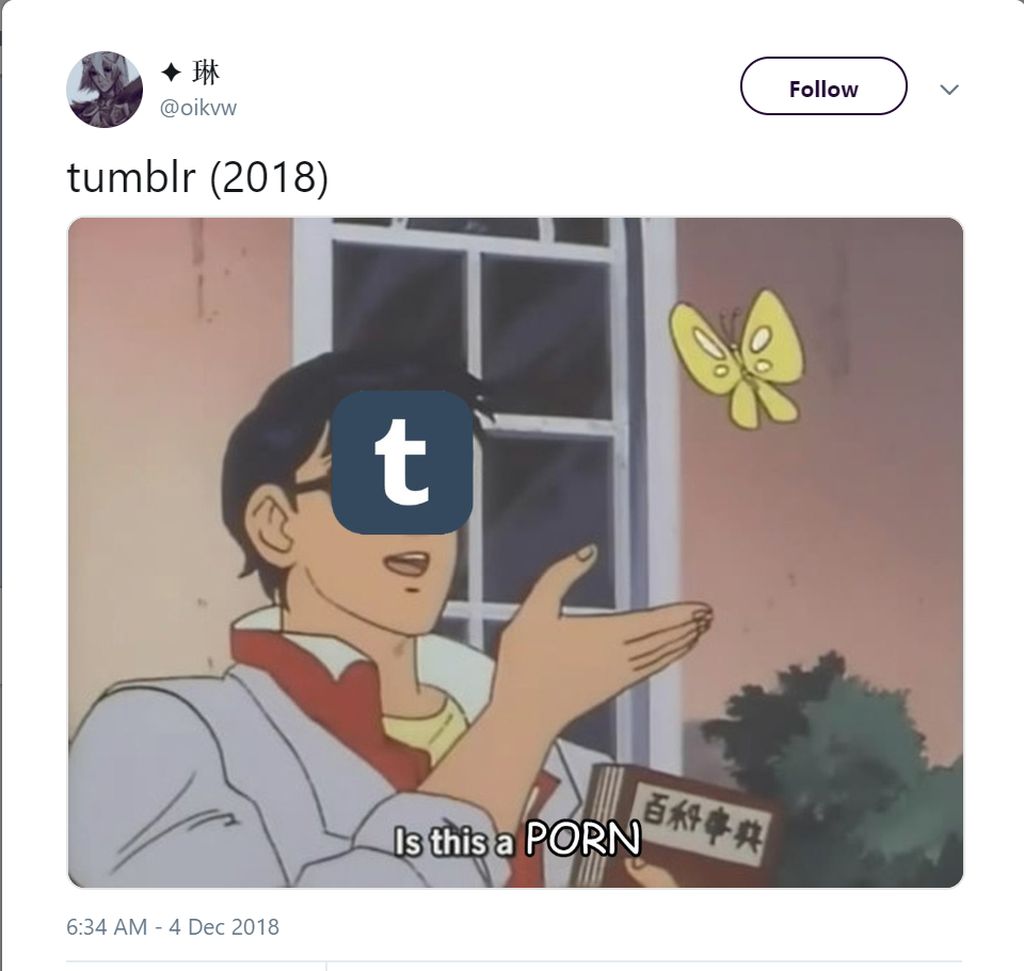 Kumpulan Meme Tumblr Blokir Konten Porno