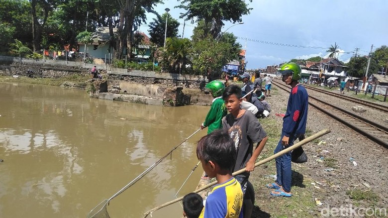 Ikan-ikan Mabuk Ini Berkah Bagi Warga Kali Jagir Surabaya Ikan-ikan Mabuk Ini Berkah Bagi Warga Kali Jagir Surabaya