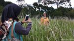 Foto: Padang Ilalang yang Viral Ini Diserbu Turis