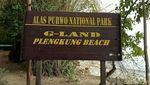 Foto: Pantai Plengkung, Surga Tersembunyi di Banyuwangi