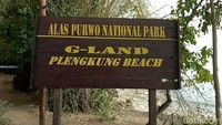 Pantai Plengkung dijuluki wisatawan sebagai  G-Land. G-Land sendiri merujuk pada Teluk Grajagan, tempat di mana Pantai Plengkung berada. (Ardian Fanani/detikTravel)