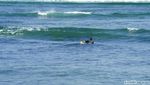 Foto: Pantai Plengkung, Surga Tersembunyi di Banyuwangi