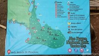 Selain Pantai Plengkung, pengunjung juga bisa menikmati panorama Taman Nasional Alas Purwo lainnya seperti padang stepa dan segala hewan yang hidup bebas di dalamnya (Ardian Fanani/detikTravel)