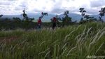 Foto: Padang Ilalang yang Viral Ini Diserbu Turis