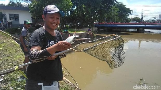 Warga Surabaya berebut ikan mabuk/