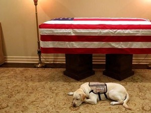 Bikin Terenyuh! Sully Setia Berjaga di Dekat Peti Mati Bush Senior