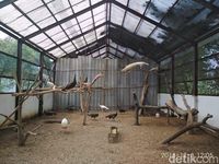 KLHK Gerebek Vila di Bogor, Temuannya Bikin Kagetl 