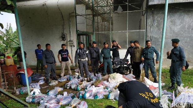 Puluhan merak dalam plastik ditemukan di sebuah vila di Bogor.