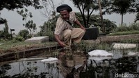Sampai saat ini warga masih menunggu solusi dari Pemrop DKI Jakarta.
