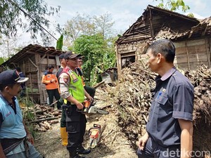 Rumpun Bambu Berdiameter 2 Meter Roboh Timpa Rumah di Bojonegoro