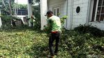 Pohon Tumbang di Panglima Polim Dievakuasi