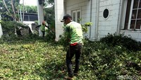 Dedaunan dari pohon besar itu pun nampak berserakan di halaman rumah.