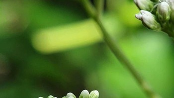 Untuk melihat karya Japra yang lainnya, bisa menyambangi akun Instagramnya di sini. Foto: instagram.com/thejapra/