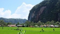 Air Terjun Payakumbuh di Sumatera Barat memiliki ketinggian 150 meter. Air terjun ini mengalir di salah satu destinasi wisata di Smuatera Barat yaitu Lembah Harau. (edelweiss3283/dTraveler)