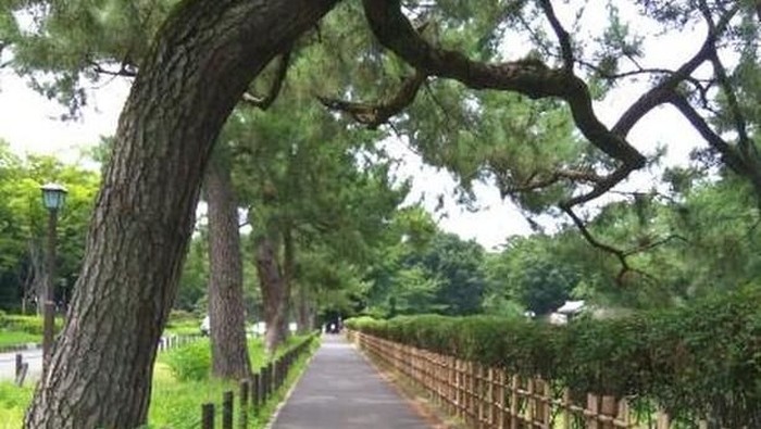 Kota Nagoya, Jepang