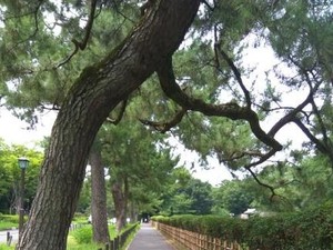 Nagoya, Kota Menyenangkan di Jepang yang Malah Dianggap Membosankan