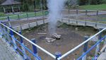 Foto: Kawah di Bandung yang Suaranya Seperti Kereta Api