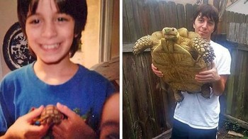 17 tahun bersama, dari mungil penyu ini tumbuh jadi sangat besar. (Foto: Brightside)