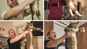 Momen perkembangan kucing dari kecil hingga besar. (Foto: Brightside)