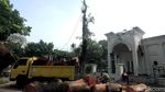 Pohon Tumbang di Panglima Polim Dievakuasi