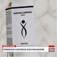 Cara Hilangkan Lemak di Perut dalam 2 Minggu Tanpa Olahraga