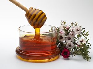Madu Manuka Rp 500 Ribu Sebotol, Benarkah Berkhasiat Hebat?
