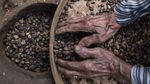 Geliat Bisnis Kopi di Desa Gombengsari
