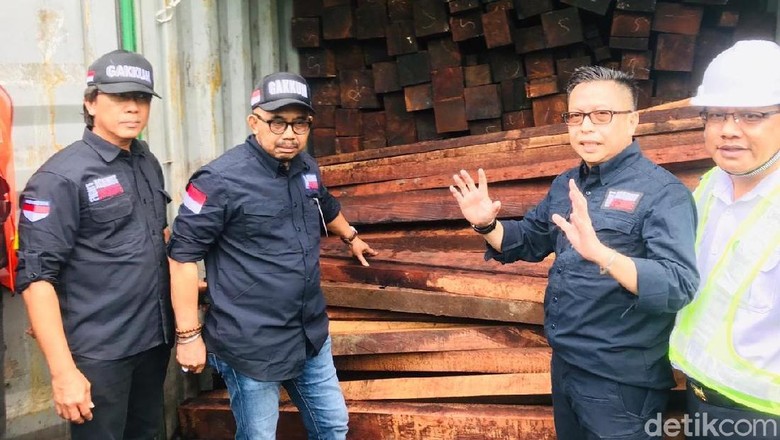 Penyelundupan 40 Kontainer Kayu Ilegal Asal Papua Barat Digagalkan Penyelundupan 40 Kontainer Kayu Ilegal Asal Papua Barat Digagalkan