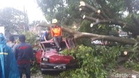 Di lokasi tampak ada puluhan petugas dari BPBD, Damkar, hingga Satpol PP melakukan penanganan. Batang pohon besar yang melintang di tengah jalan dievakuasi manual menggunakan gergaji mesin. 