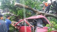 Petugas mengevakuasi kendaraan yang tertimpa pohon. (Foto: dok. BNPB)