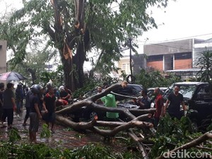 Pasca Puting Beliung Bogor, Warga Diminta Tetap Waspada