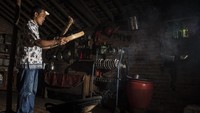 Selain kopi yang dipanen dari memetik, warga juga memanen kopi luwak yang dihasilkan secara alami atau liar. Kopi luwak dijual dengan harga 500 ribu per kilonya dan kopi lanang 200 ribu per kilo. M Agung Rajasa/Antara Foto.