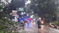 Informasi petugas di lapangan, di kawasan Bogor Selatan pohon tumbang terdapat di lima titik. 