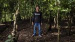 Geliat Bisnis Kopi di Desa Gombengsari