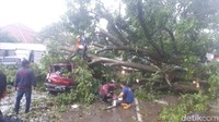 Titik kedua, di Jalan Siliwangi No 59 ada mobil Carry nopol F 1371 CH yang juga ringsek berat tertimpa pohon kenari. 