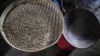 Hal ini menyebabkan daerah tersebut menjadi penghasil kopi robusta dengan kualitas terbaik. M Agung Rajasa/Antara Foto.