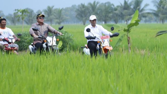 Foto: Kementan Foto: Kementan