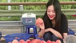 Intip Gaya Seksi Sulli Saat Makan Mie Instan hingga Waffle