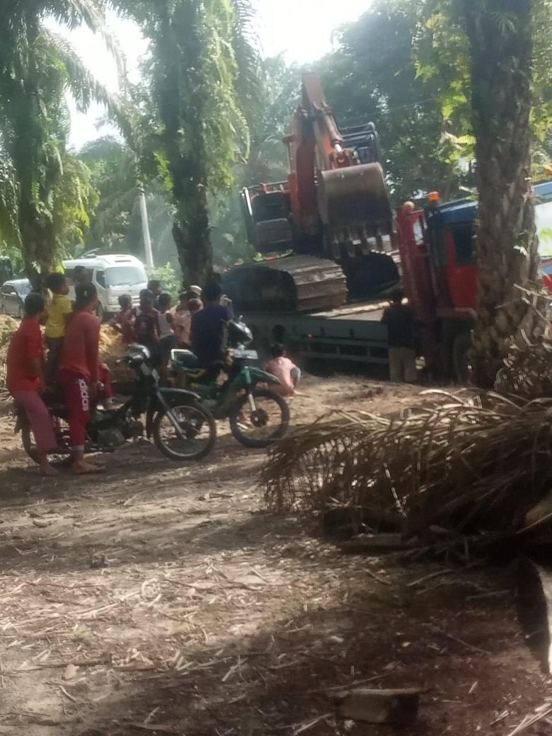 4 Perambah Hutan Cagar Biosfer di Riau Ditangkap 4 Perambah Hutan Cagar Biosfer di Riau Ditangkap