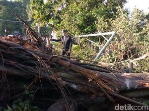 Bima Arya Minta Bantuan Rp 5 M ke Ridwan Kamil Tangani Puting Beliung