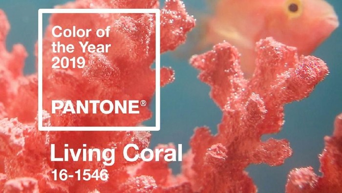 Living Coral, tren warna 2019 dari Pantone. Foto: Dok. Pantone Living Coral, tren warna 2019 dari Pantone. Foto: Dok. Pantone