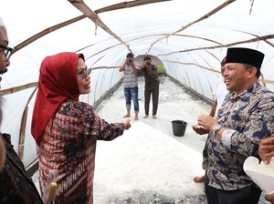 Kembangkan Garam Rakyat, Bupati Serang Belajar Budidaya ke Aceh