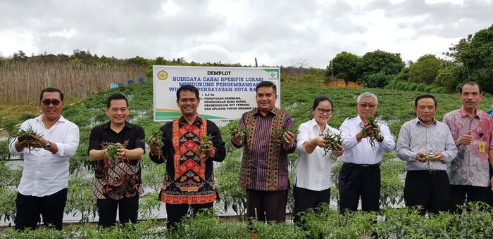 Foto: Kementan Foto: Kementan