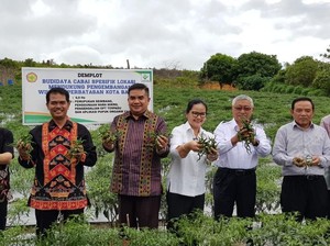 Jelang Natal & Tahun Baru, Mentan: Tak Ada Alasan Cabai Langka