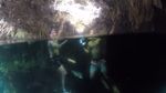 Foto: Dahsyatnya Alam Bawah Laut Wakatobi