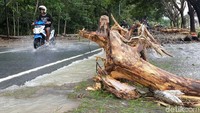 Sementara itu, 4 orang tertimbun rumah akibat longsor di Dusun Jambu, Desa Sidomulyo, Kecamatan Kabonagung, Pacitan.