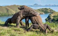 Taman Nasional Komodo, Kebanggaan Indonesia Diakui Dunia