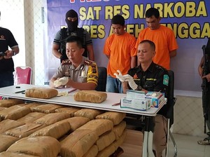 Pemilik-Penerima 130 Kg Ganja Aceh yang Dibawa 2 Oknum Polisi Diburu